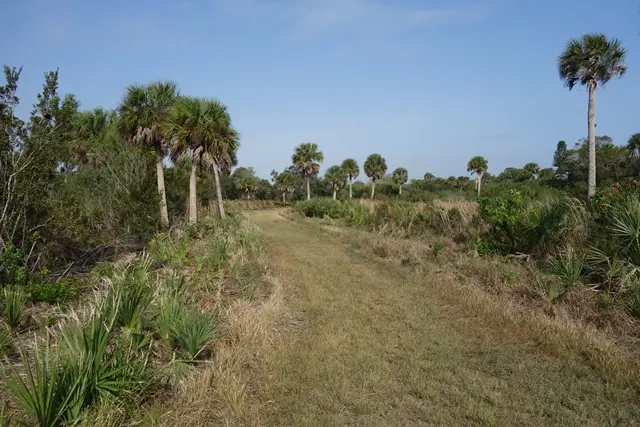 South Venice Lemon Bay Preserve - Great for Nature Lovers