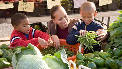 Spotsylvania Farmers Market | The Farmers Market Co