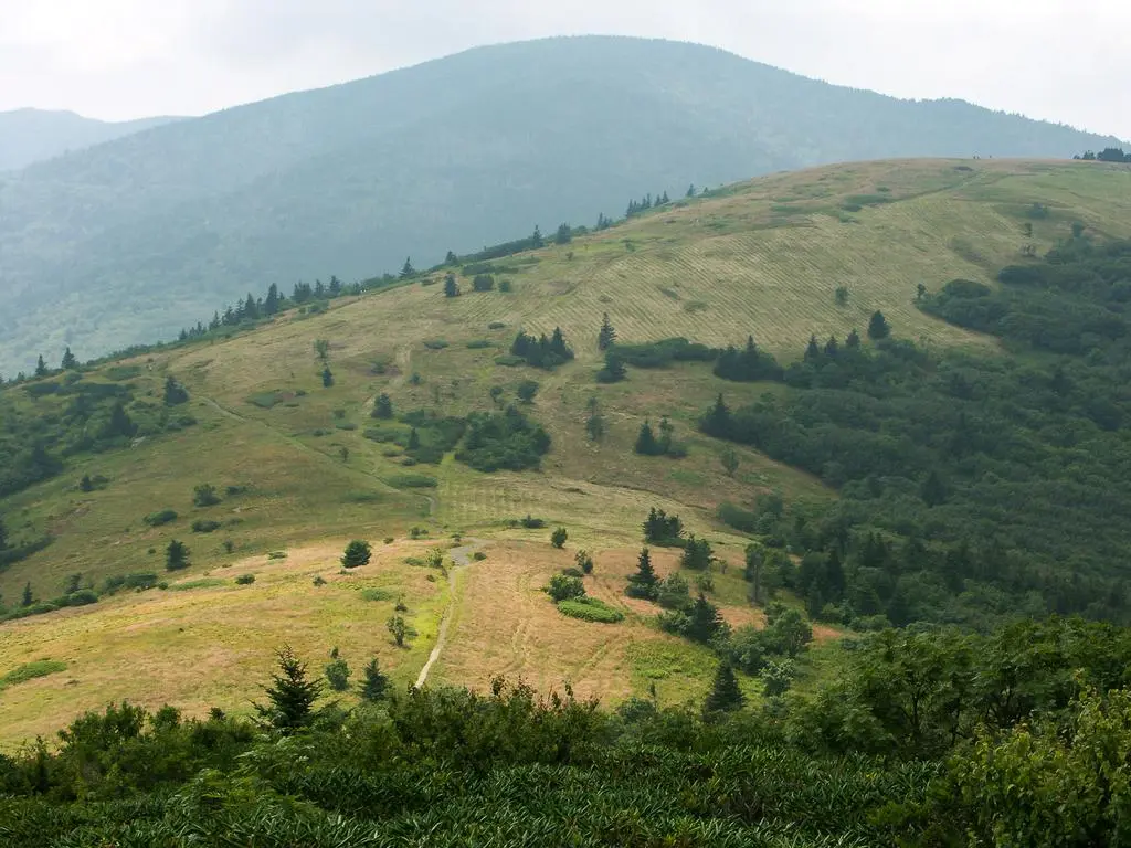 Roan Mountain Hiking - Balds, Rhododendrons, and Spruce-Fir Forests