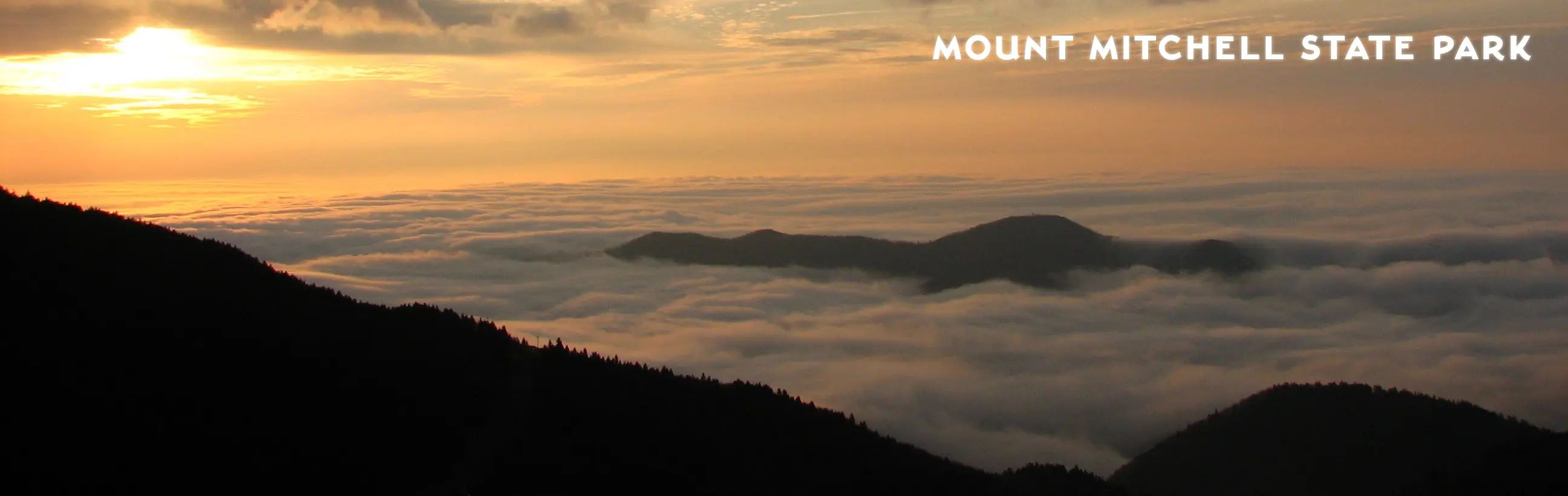 Mount Mitchell State Park | NC State Parks