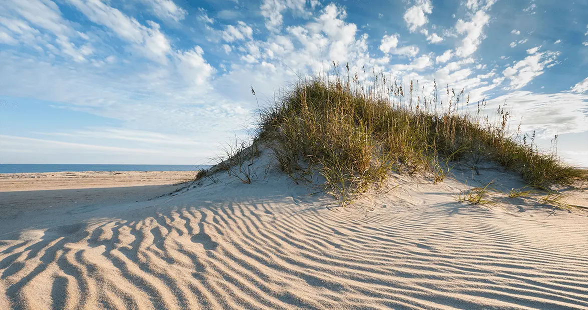 The History of the Outer Banks Dunes | Our State Magazine