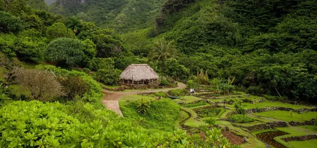 What To See On Kauai - Limahuli Valley - Kauai - Hawaii