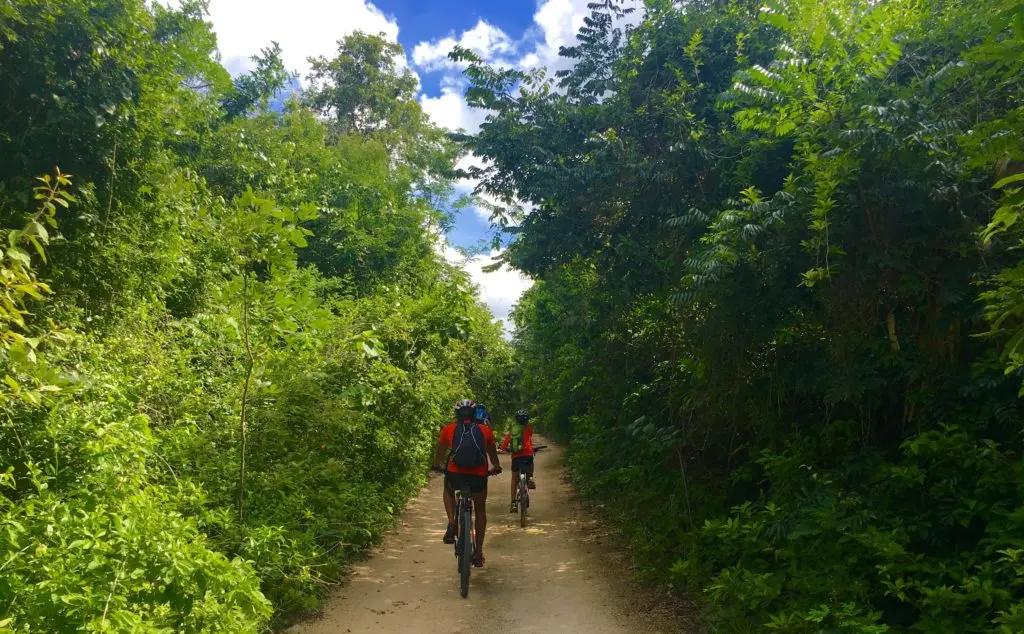 MTB Bike Tour in Playa Del Carmen - Everything Playa Del Carmen