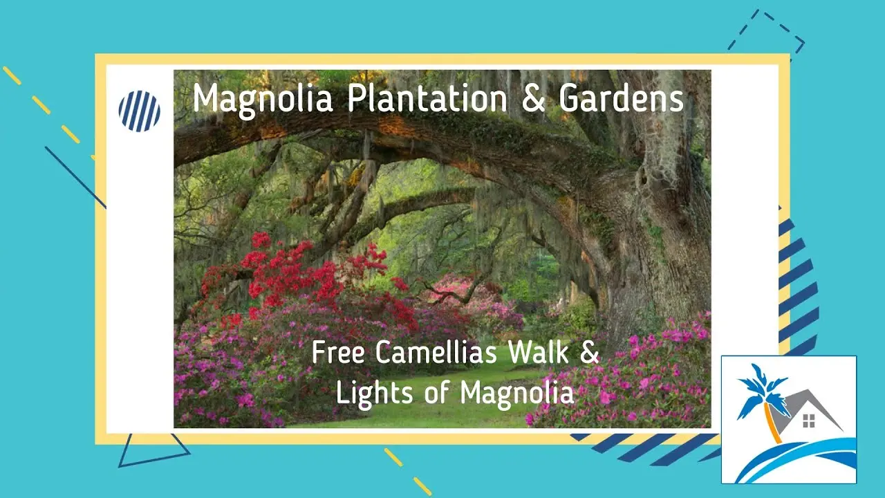 Free Camellia Walk & Lights of Magnolia - [Video]