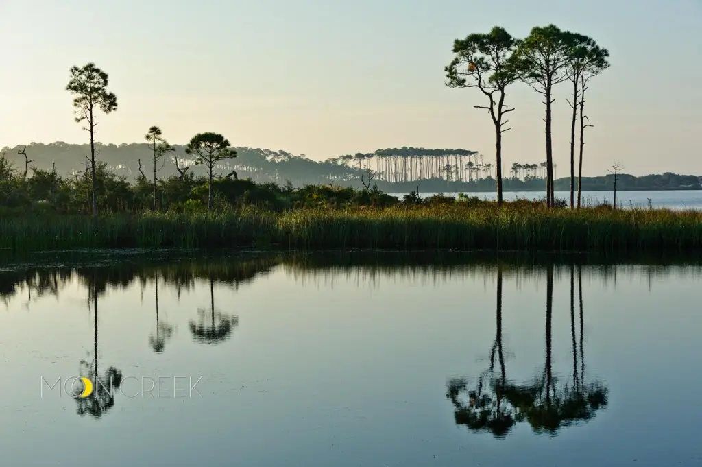 Grayton Beach State Park