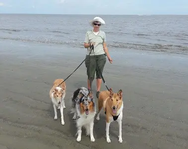 Dog Walks on the Beach - Pet Friendly Jekyll Island