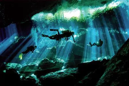 Riviera Maya voted best dive destination in the world for 2019 - Riviera Maya News