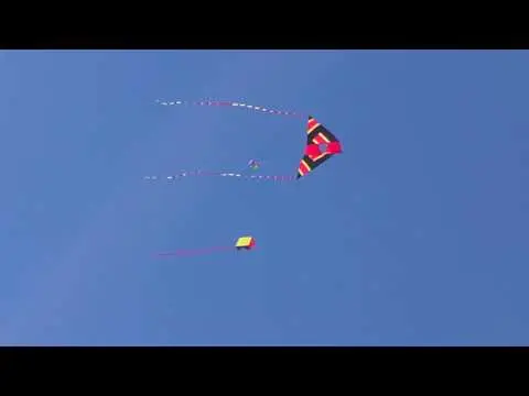 Windy Days on the Beach - Jekyll Island Beach Sighting