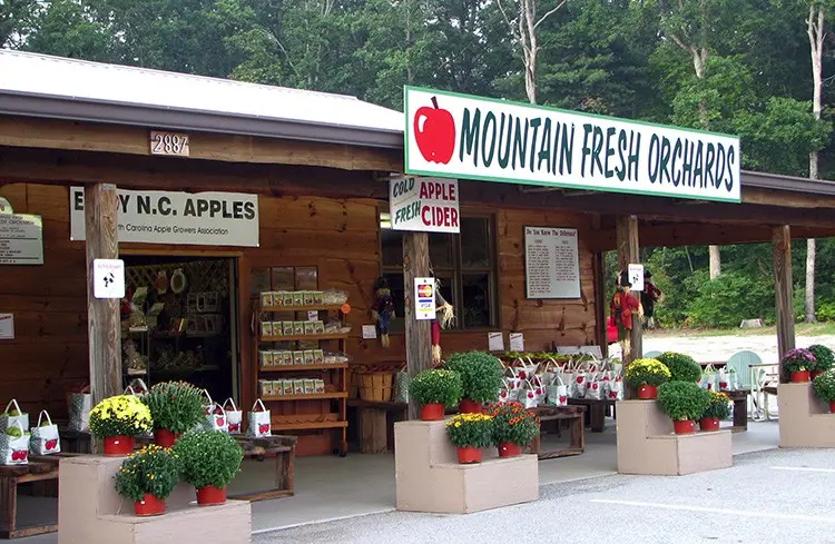 Mountain Fresh Orchard