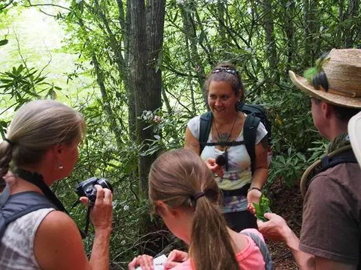 Wild and Edible Appalachian Plant Walkabout