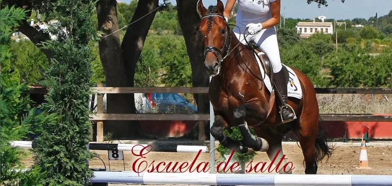 Club Hípico Benissa - Doma clásica - Salto - Equitación - Rutas a caballo Centro hípico en Alicante