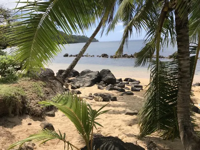 Swim With Turtles At Anini Beach - Kauai - Hawaii