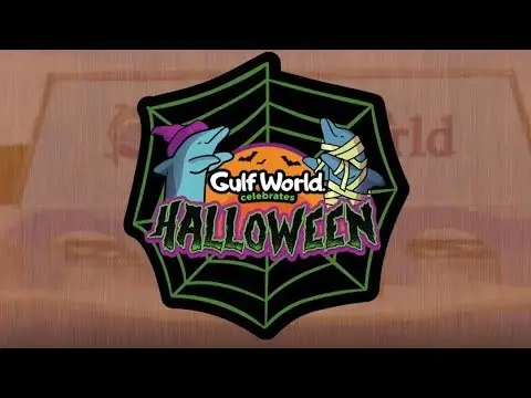 Halloween at Gulf World - YouTube