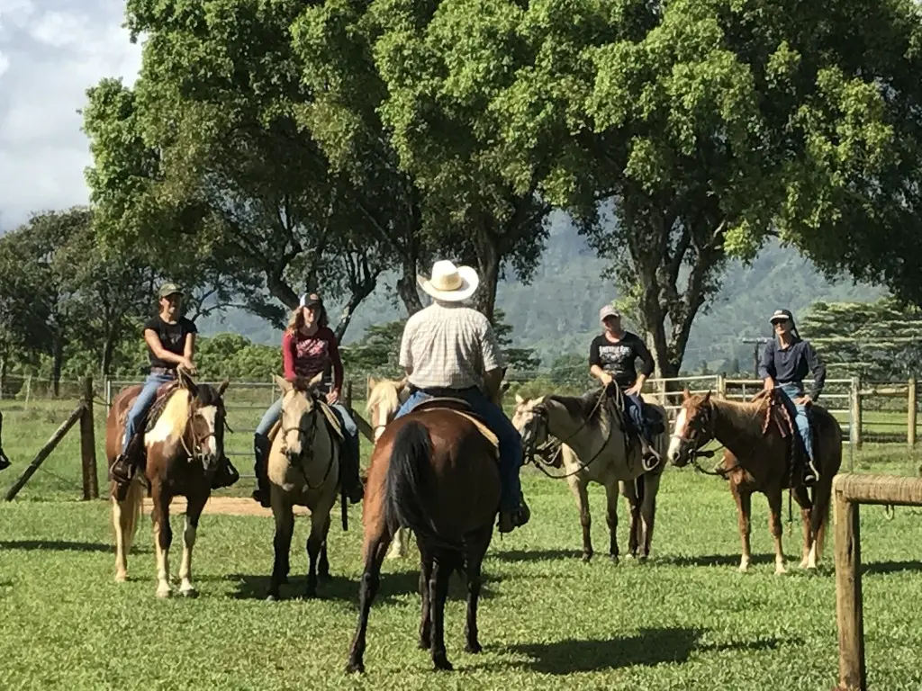 What To Do In Kauai - Horseback Riding - Princeville Ranch Adventures