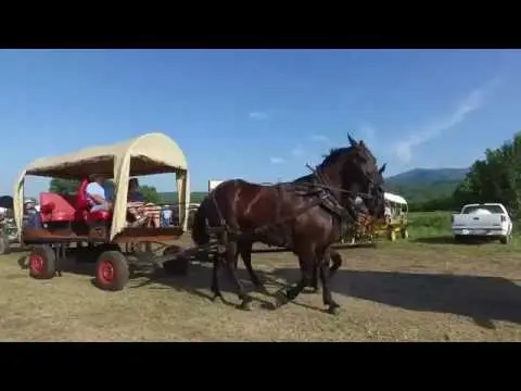 Old-fashioned Wagon Train