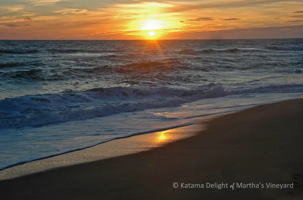 Our favorite walks on Martha's Vineyard