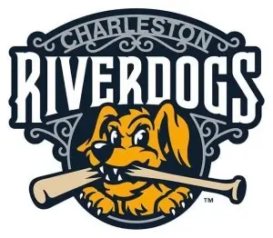 Top  Six Reasons to go to a Charleston Riverdogs Game