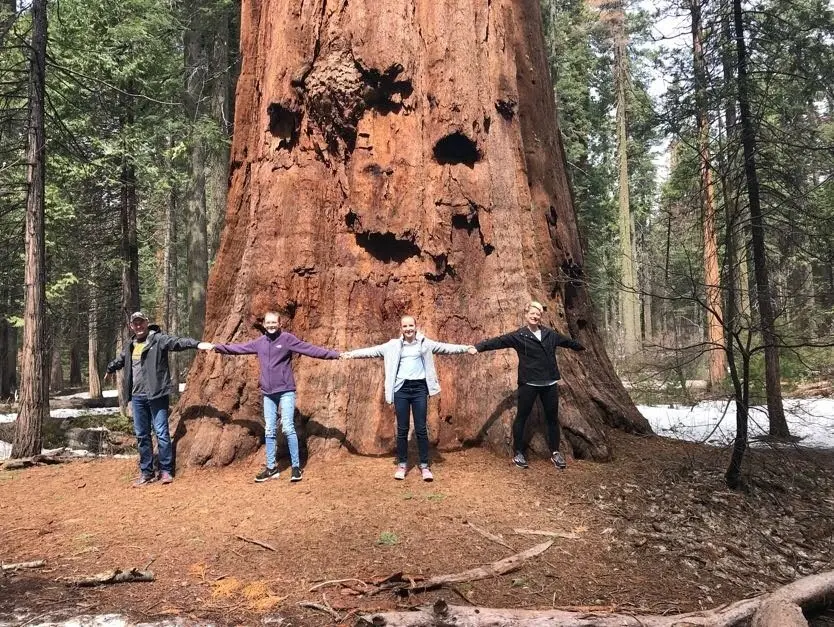 Calaveras Big Trees State Park Overview