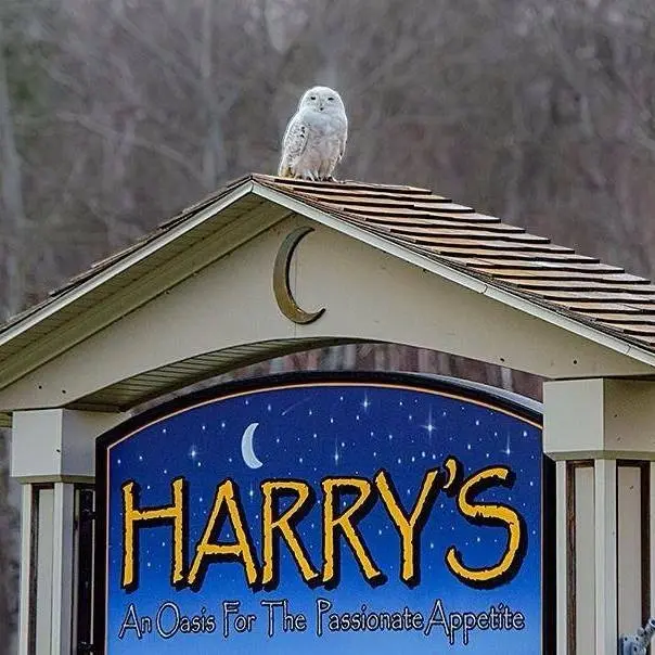 Harry's Mount Holly Cafe ~ Mount Holly, Vermont