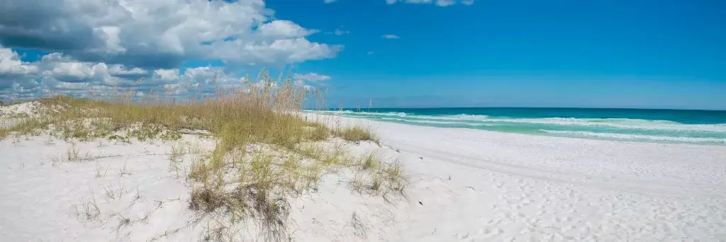 Beach Time is Everyone's Favorite Time at Tiki House