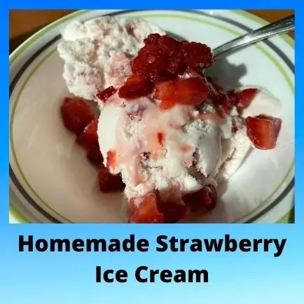 Homemade Ice Cream