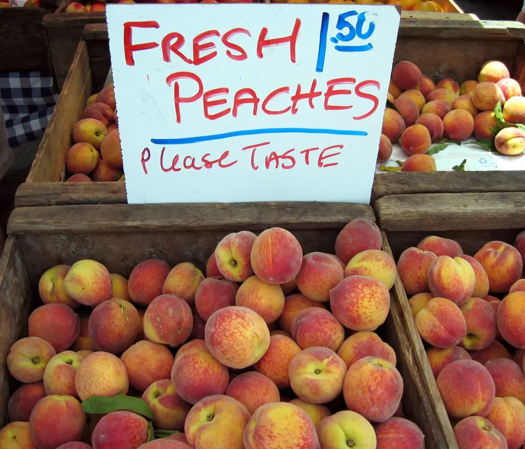 St. Augustine Farmer's Markets