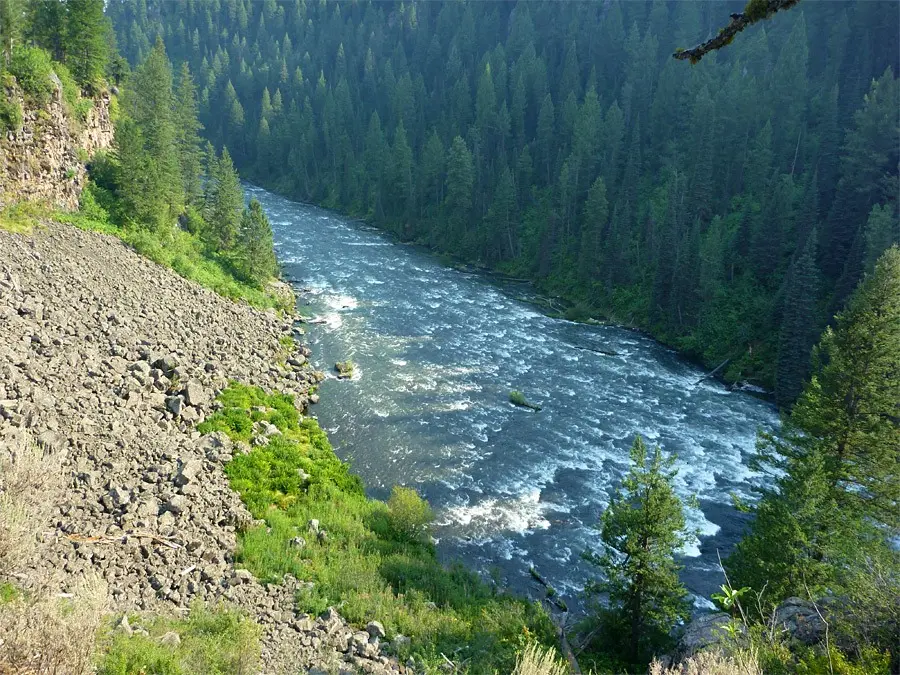 Fish on the world's best river!