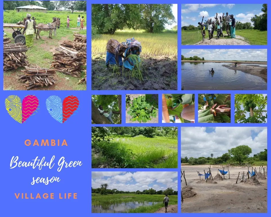 Green season Gambia 2019