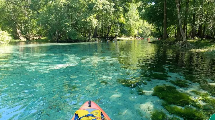 Parks and Springs on the Santa Fe River