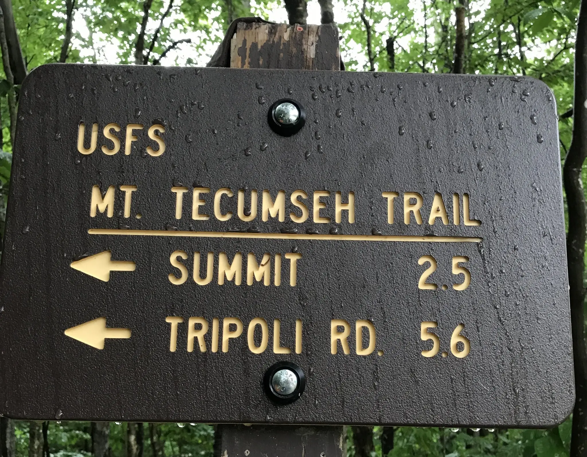 Mt. Tecumseh our 1st 4000 footer