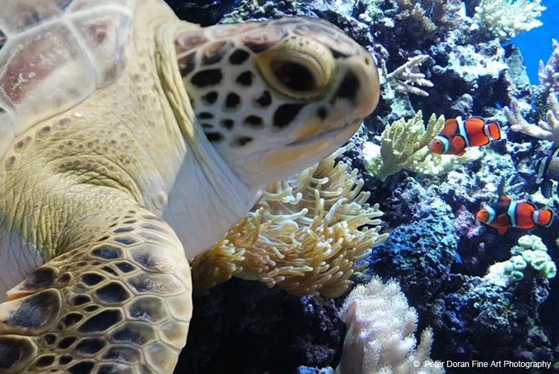 North Carolina Aquarium on Roanoke Island