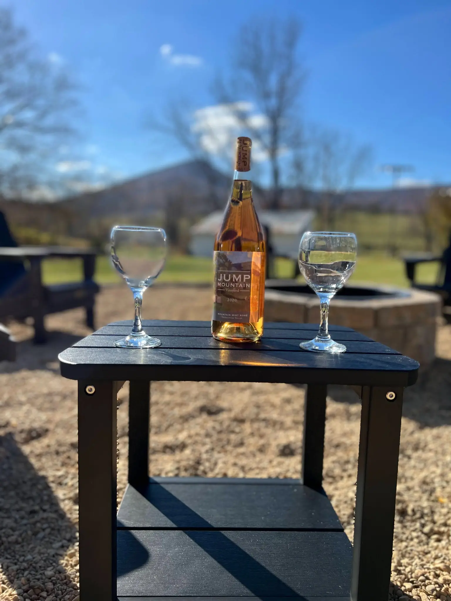 Savoring the Flavors: Top Wineries in Rockbridge County, Virginia