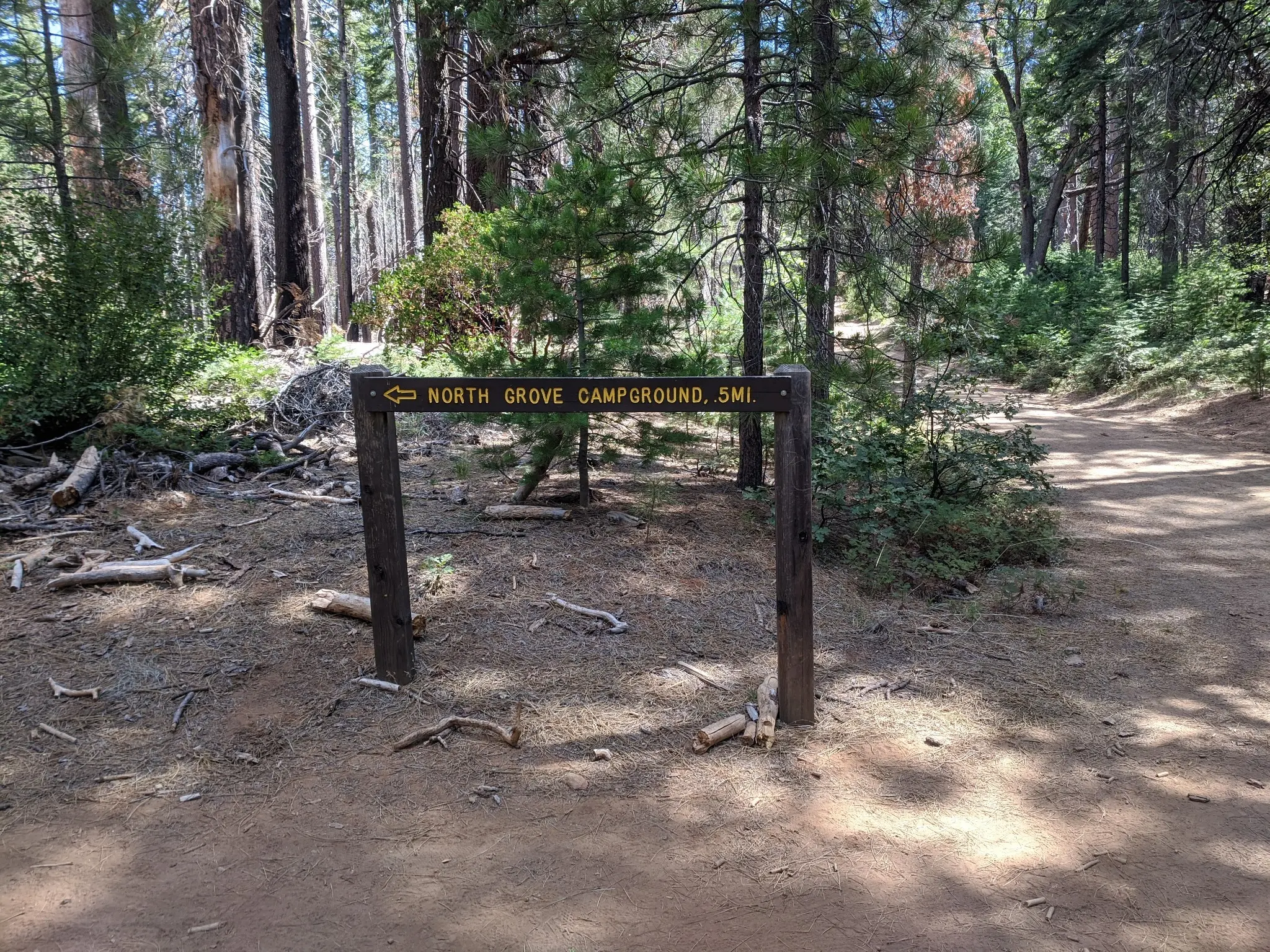 Hiking Calaveras Big Trees from Upper Moran Road