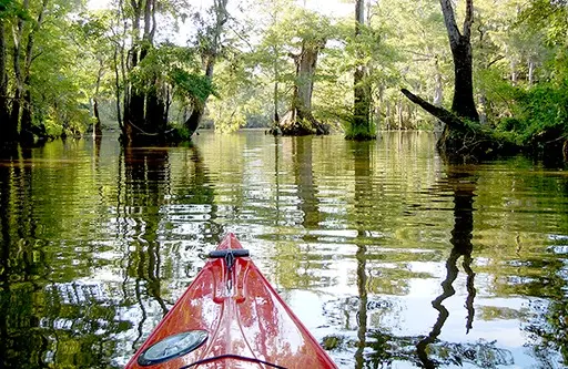 Waccamaw National Wildlife Refuge