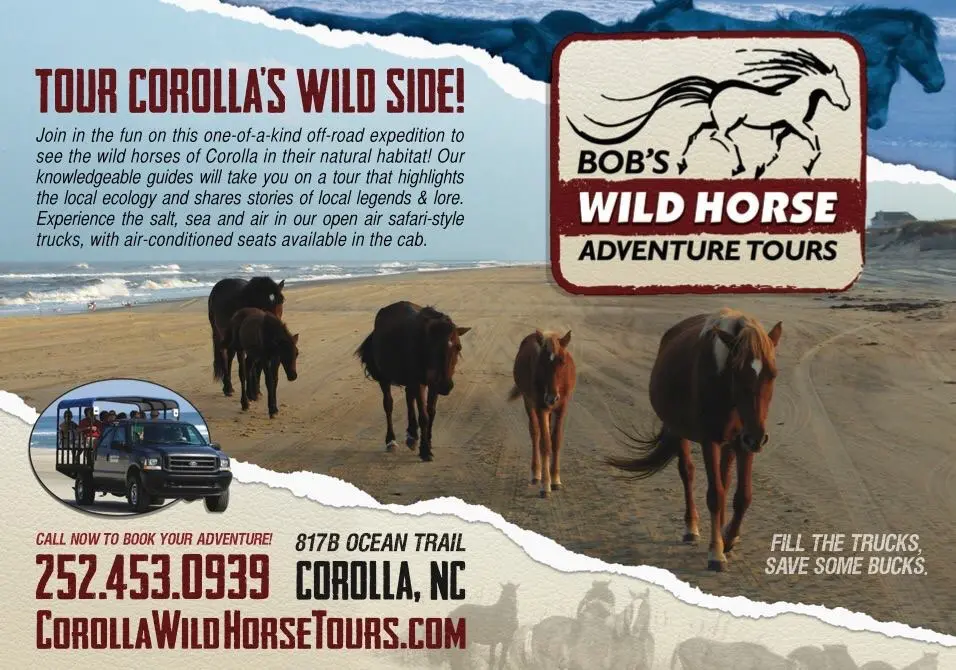 Wild Horse Tours