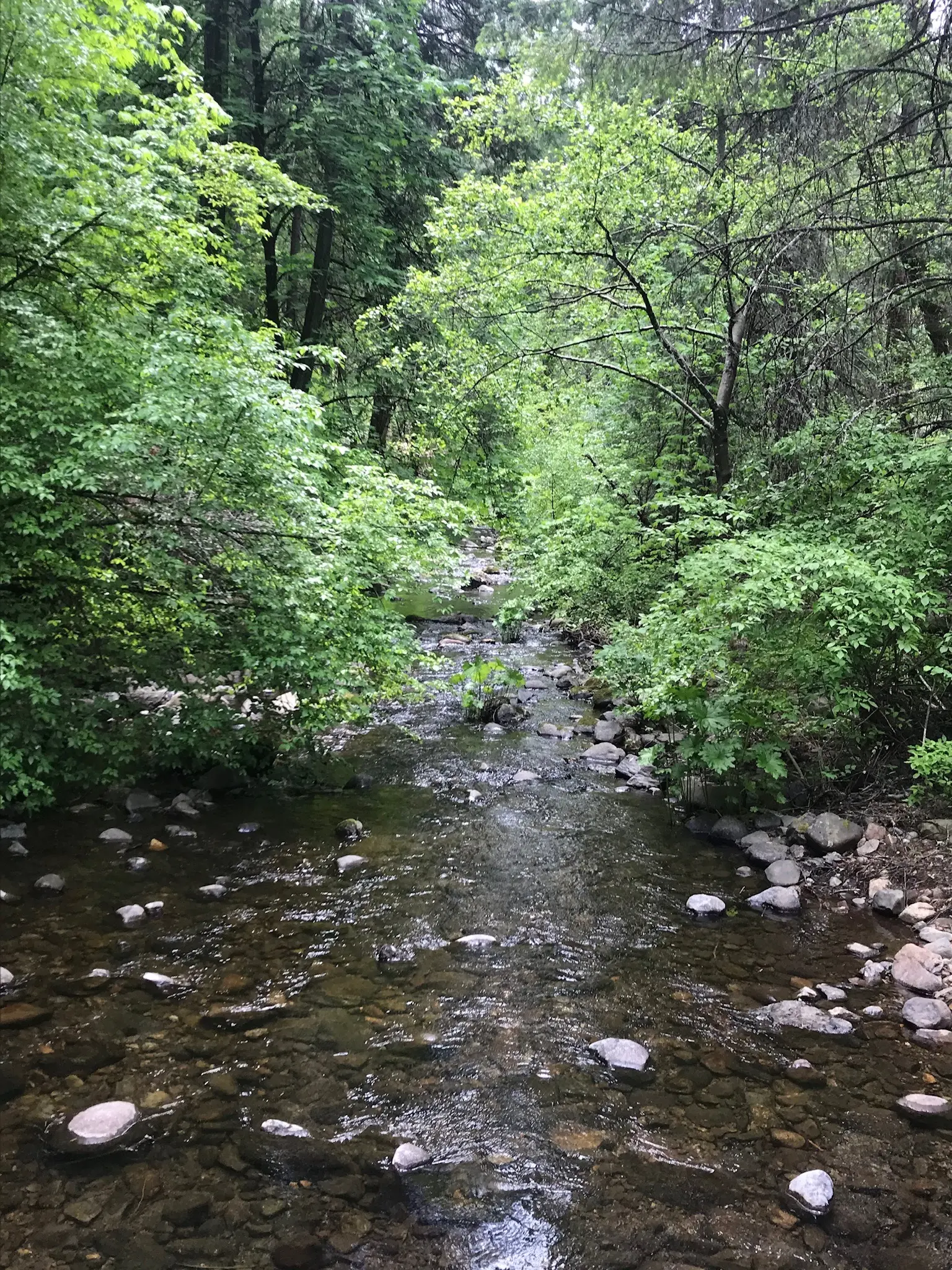 Stagecoach Trail (South Fork Consumnes River) - Part 1